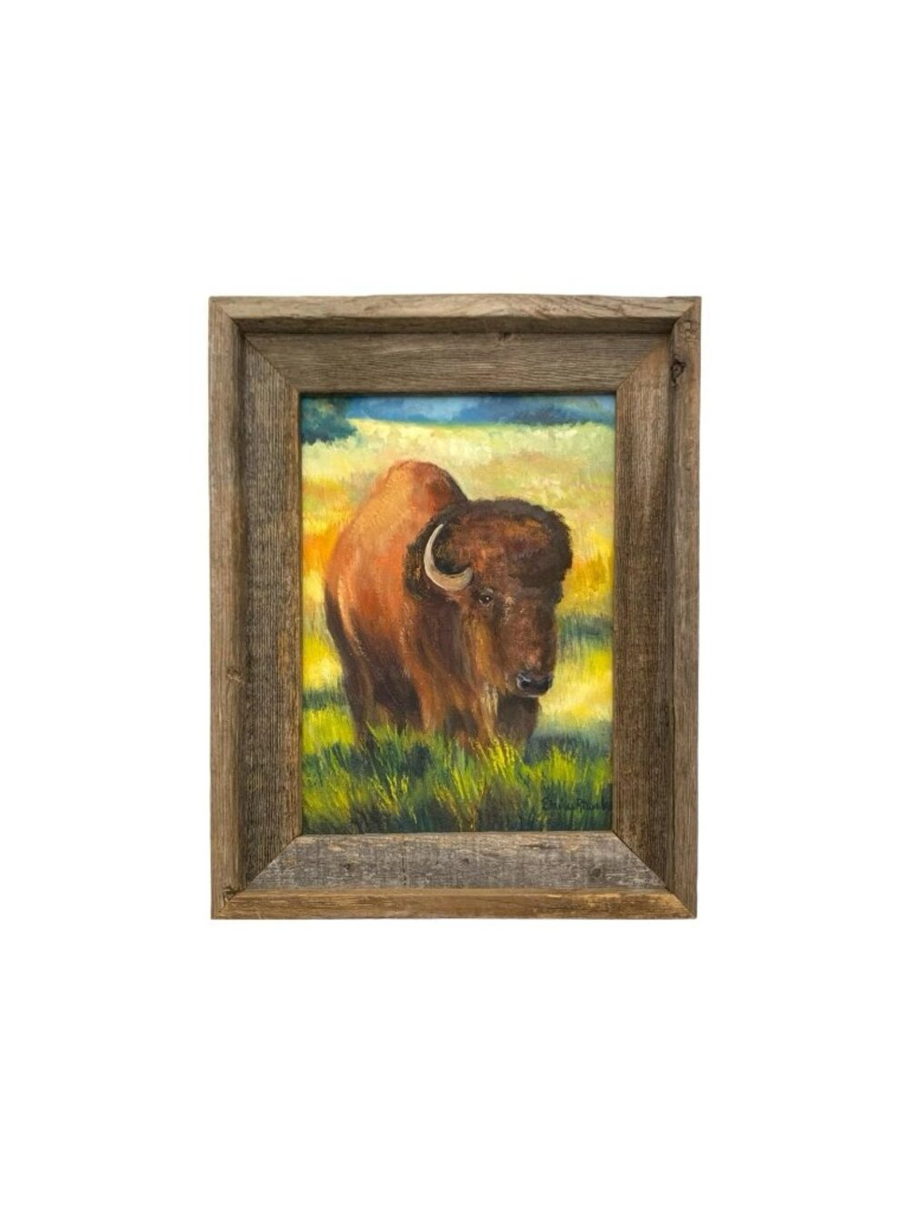 Painting Buffalo Oil on Canvas Signed Elaine Rhoades Vintage Original Art